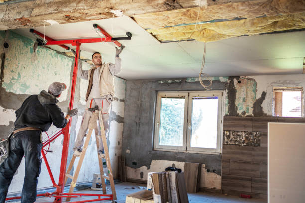 Best Cellulose Insulation in Marianne, PA